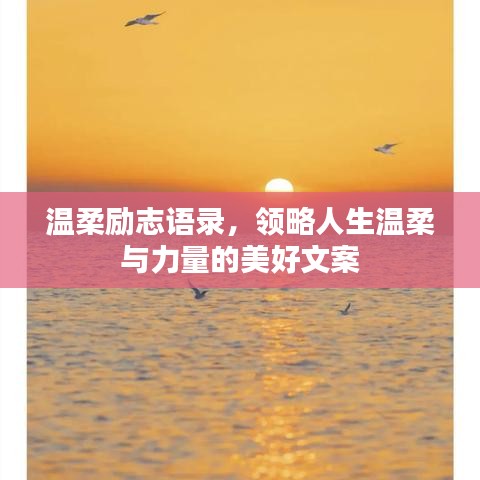 温柔励志语录,领略人生温柔与力量的美好文案