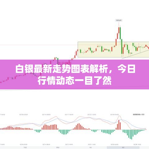 白银最新走势图表解析,今日行情动态一目了然