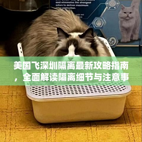 美国飞深圳隔离最新攻略指南,全面解读隔离细节与注意事项