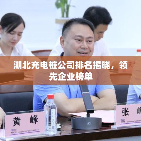 湖北充电桩公司排名揭晓,领先企业榜单
