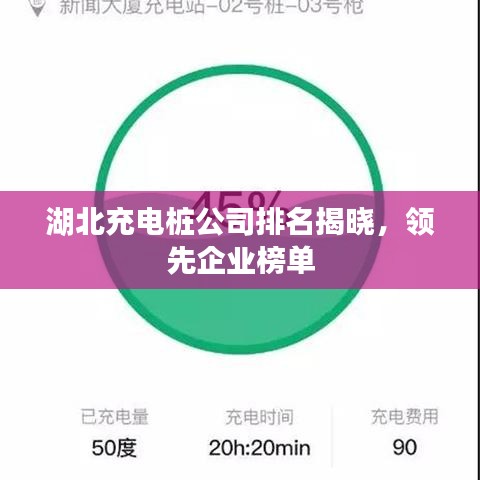 湖北充电桩公司排名揭晓,领先企业榜单