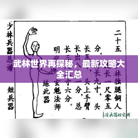 武林世界再探秘,最新攻略大全汇总