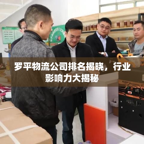 罗平物流公司排名揭晓,行业影响力大揭秘