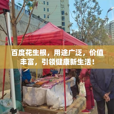 百度花生根,用途广泛,价值丰富,引领健康新生活!