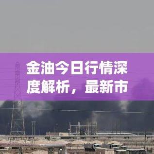 金油今日行情深度解析,最新市场动态一网打尽!