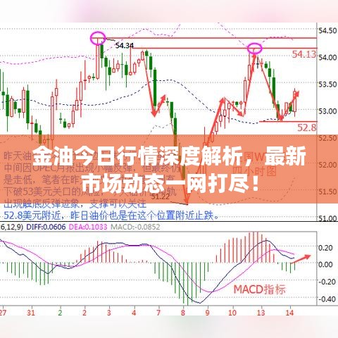 金油今日行情深度解析,最新市场动态一网打尽!