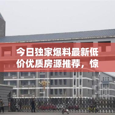 今日独家爆料最新低价优质房源推荐,惊喜折扣,抢购在即!