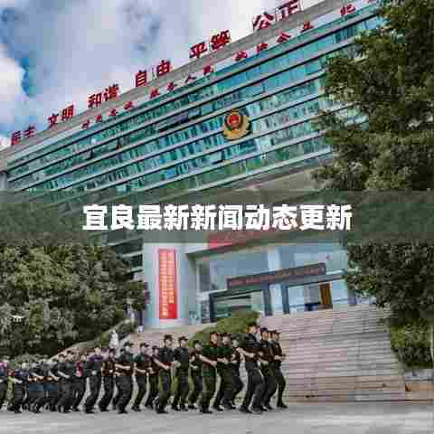 宜良最新新闻动态更新