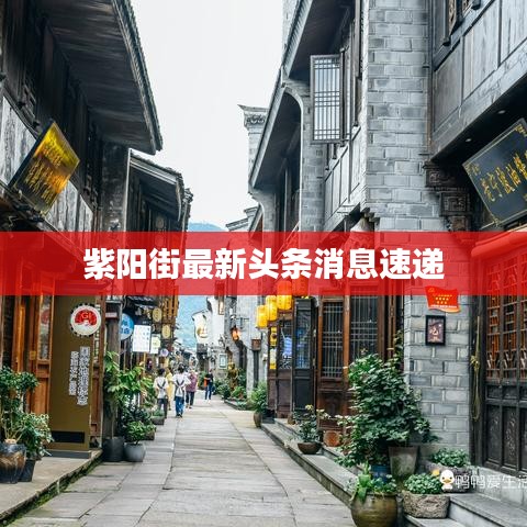 紫阳街最新头条消息速递