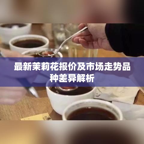 最新茉莉花报价及市场走势品种差异解析
