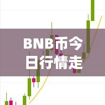 BNB币今日行情走势分析，最新市场动态速递