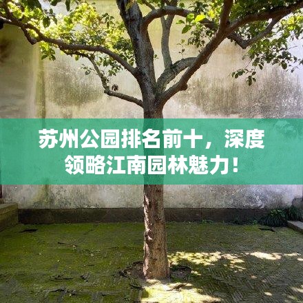 苏州公园排名前十,深度领略江南园林魅力!