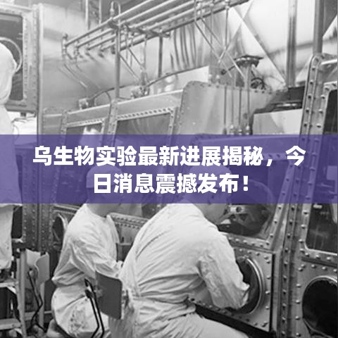乌生物实验最新进展揭秘,今日消息震撼发布!