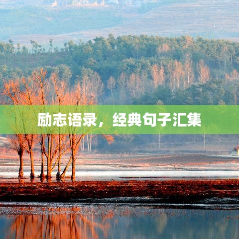 励志语录,经典句子汇集