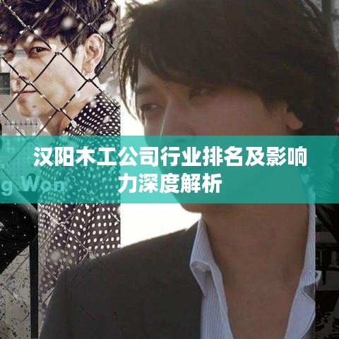 汉阳木工公司行业排名及影响力深度解析