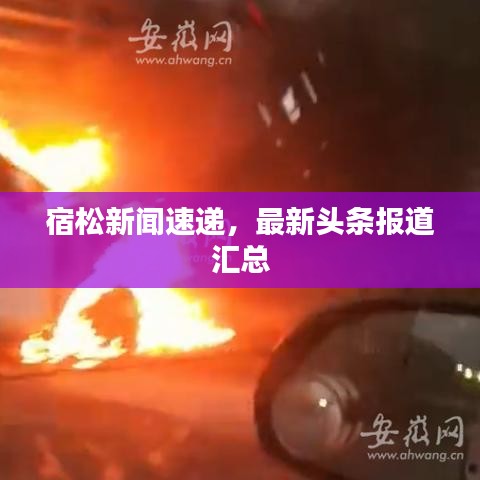 宿松新闻速递，最新头条报道汇总