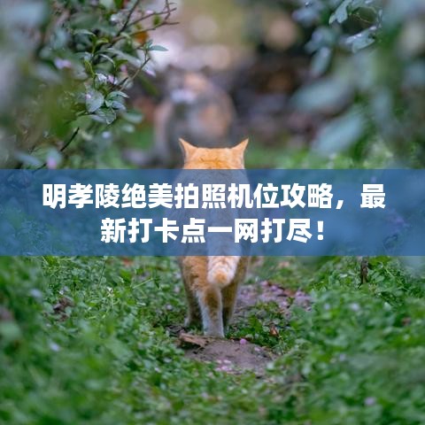 攀高结贵 第4页