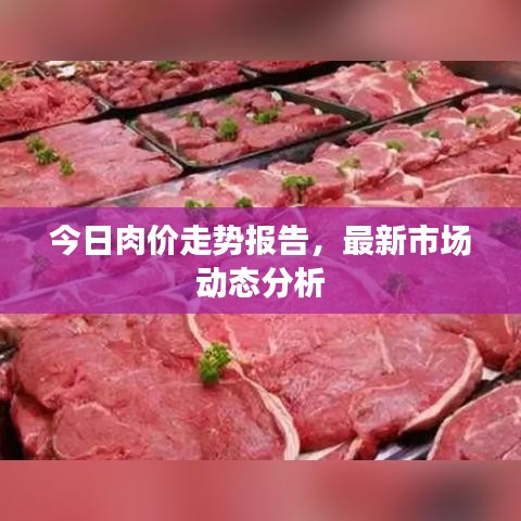 今日肉价走势报告,最新市场动态分析