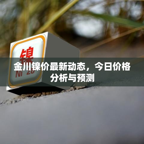 金川镍价最新动态,今日价格分析与预测