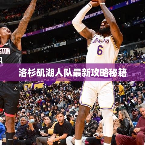 洛杉矶湖人队最新攻略秘籍
