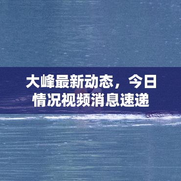 大峰最新动态,今日情况视频消息速递