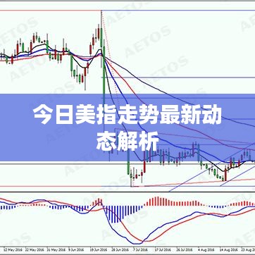 今日美指走势最新动态解析