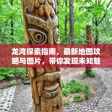 龙湾探索指南，最新地图攻略与图片，带你发现未知魅力