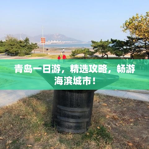 纲挈目张 第4页