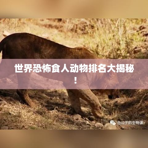 世界恐怖食人动物排名大揭秘!