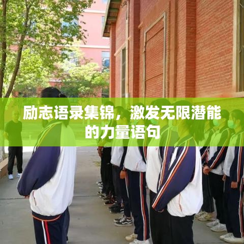 励志语录集锦,激发无限潜能的力量语句