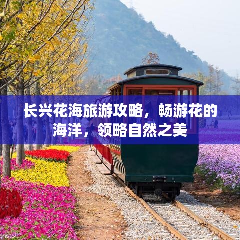 长兴花海旅游攻略,畅游花的海洋,领略自然之美