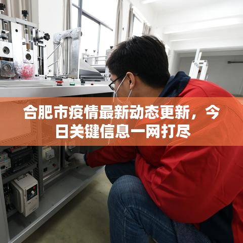 合肥市疫情最新动态更新,今日关键信息一网打尽
