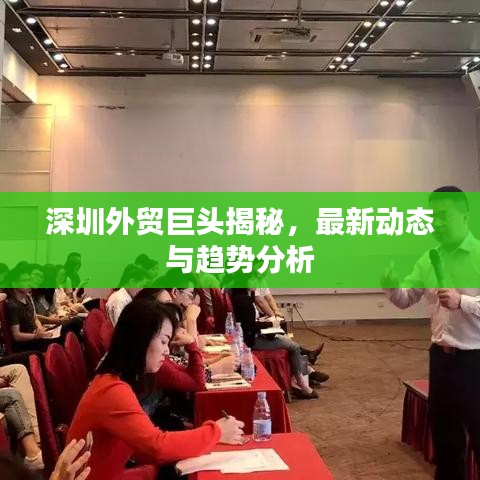 深圳外贸巨头揭秘，最新动态与趋势分析