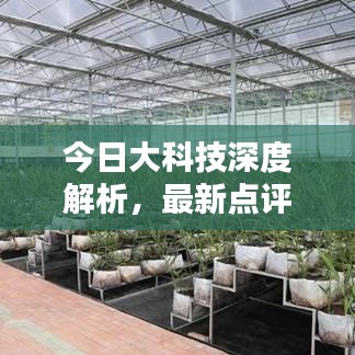 今日大科技深度解析,最新点评报告出炉