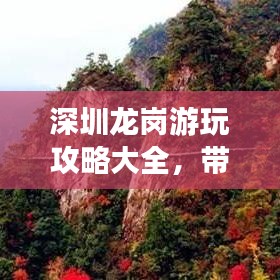 深圳龙岗游玩攻略大全,带你畅游美景,尽享乐趣!