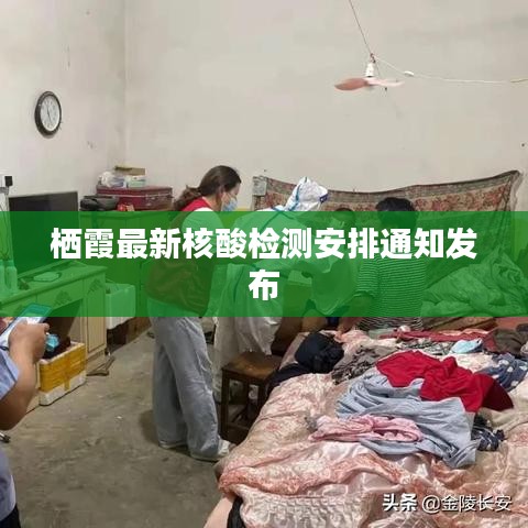 蹑蹻檐簦 第4页