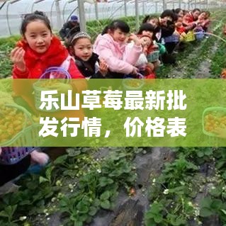 乐山草莓最新批发行情,价格表及分析揭秘