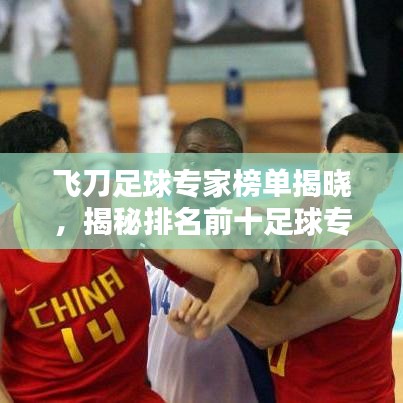 飞刀足球专家榜单揭晓,揭秘排名前十足球专家风采!