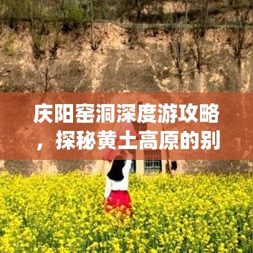 庆阳窑洞深度游攻略，探秘黄土高原的别样风情