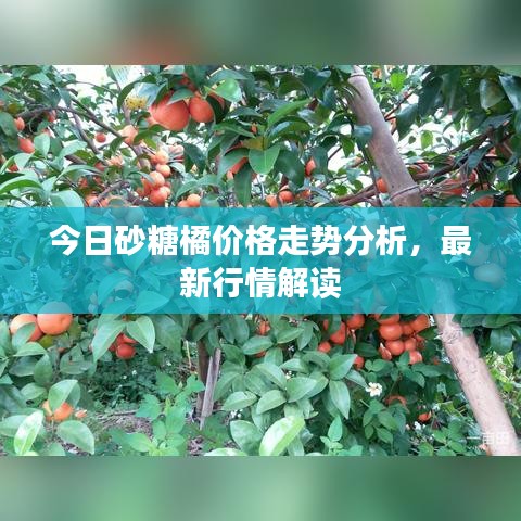 澹泊明志 第3页