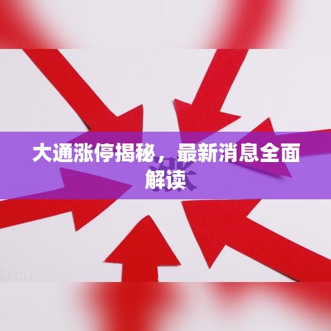 大通涨停揭秘,最新消息全面解读