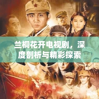兰桐花开电视剧,深度剖析与精彩探索