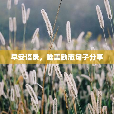 早安语录,唯美励志句子分享