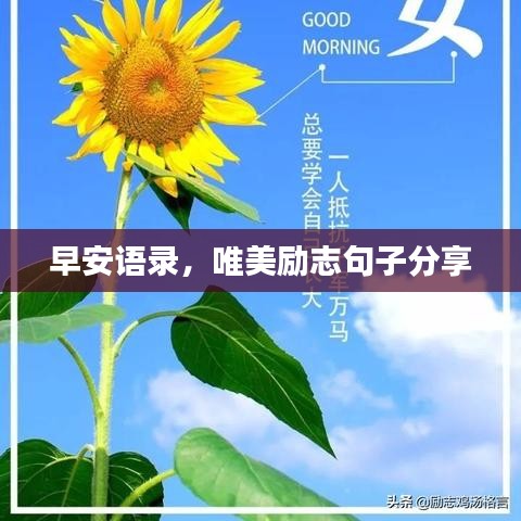早安语录,唯美励志句子分享