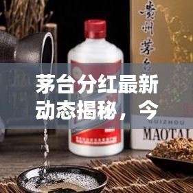 茅台分红最新动态揭秘,今日消息一览,惊喜回报揭晓!