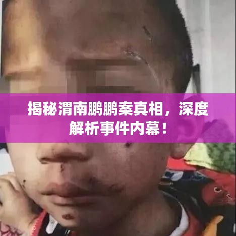 揭秘渭南鹏鹏案真相,深度解析事件内幕!