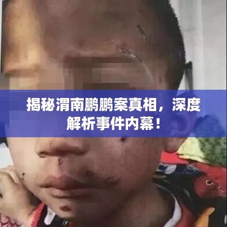 揭秘渭南鹏鹏案真相,深度解析事件内幕!