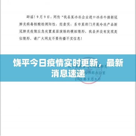 饶平今日疫情实时更新,最新消息速递