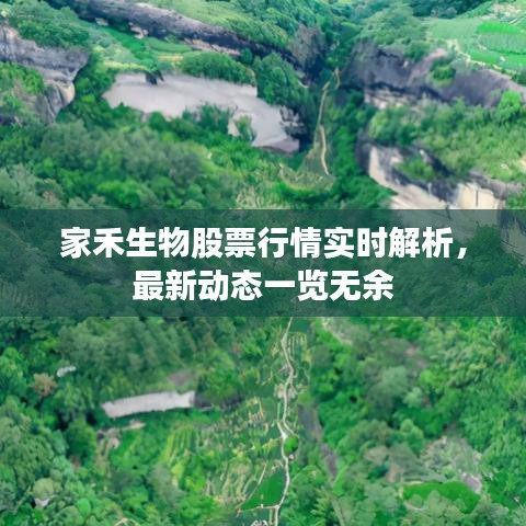 家禾生物股票行情实时解析,最新动态一览无余
