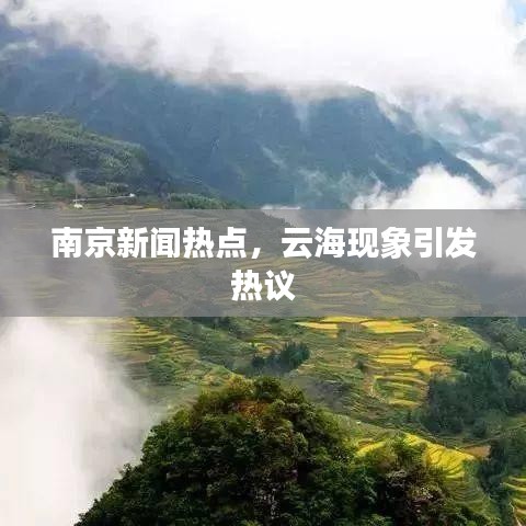 南京新闻热点,云海现象引发热议